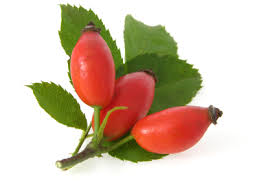 Rosehip Oil helps reduce scars and fine lines. Rosehip oil is rich in essential fatty acids and antioxidants, which are integral for tissue and cell regeneration in the skin.